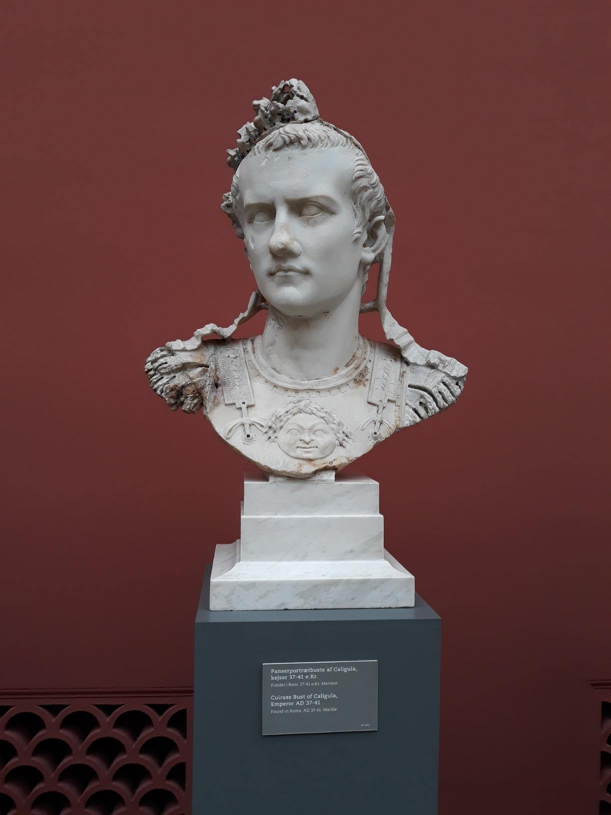 Ten Caesars: Roman Emperors from Augustus to Constantine customer photo 1