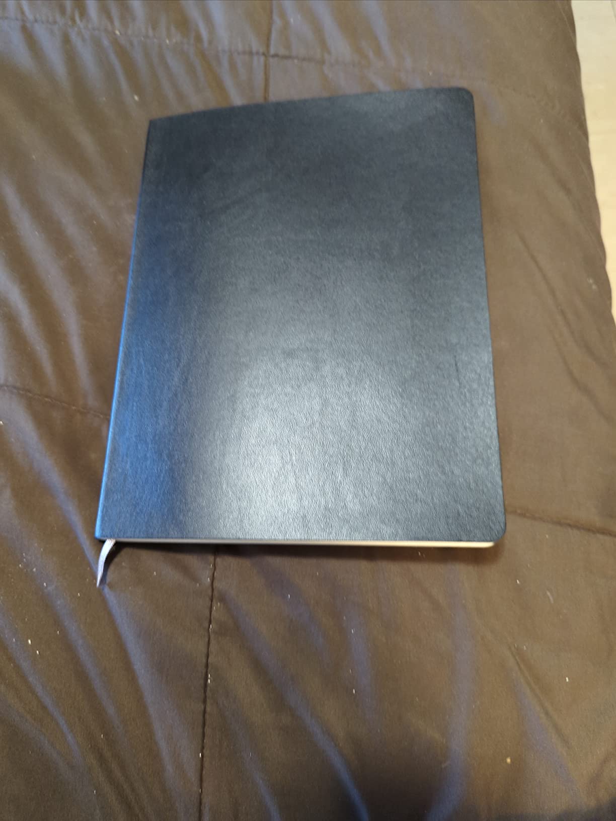 Moleskine Classic Notebook, Extra Large, Ruled, Black, Soft Cover (7.5 x 10) customer photo 2