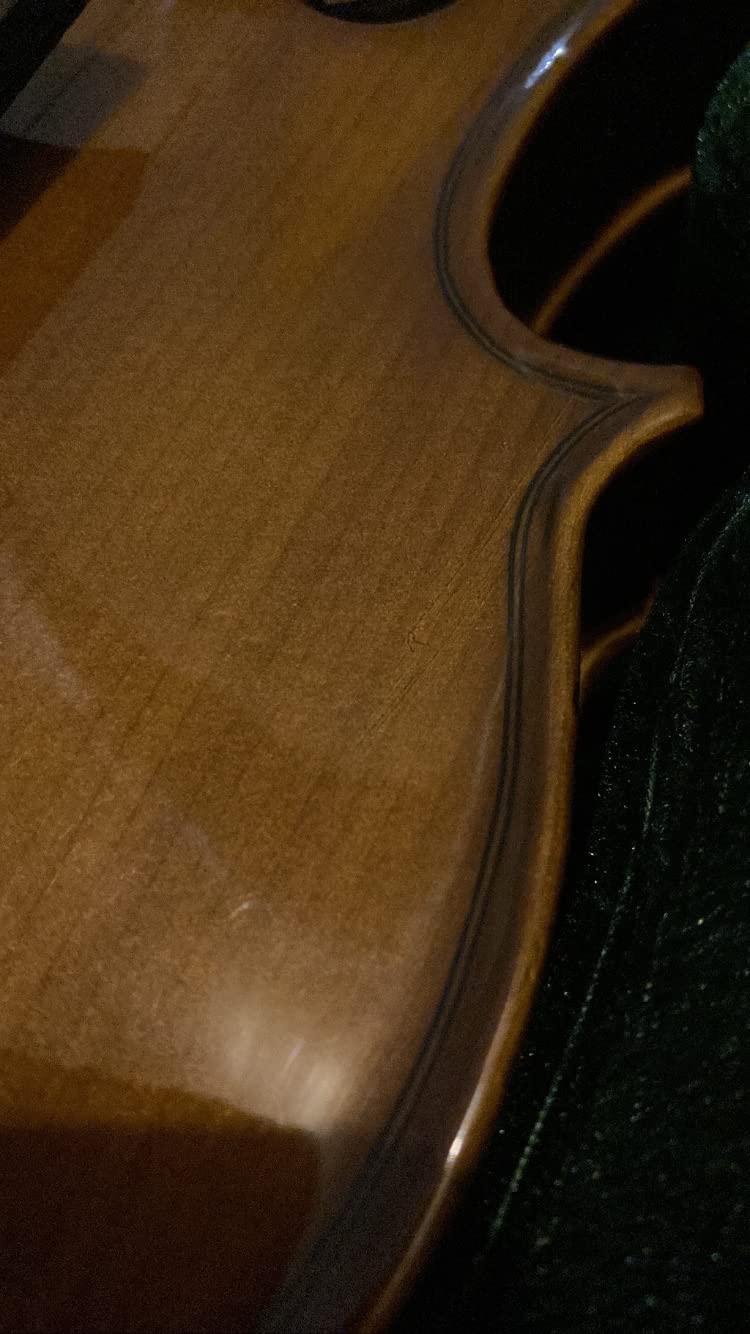 Cremona SV-130 Premier Novice Violin Outfit - 4/4 Full Size, Traditional Brown, Hand-Carved Spruce & Maple, Ebony Fittings, Prelude Strings, Kaufman-Style Chinrest, Fine Tuners customer photo 1