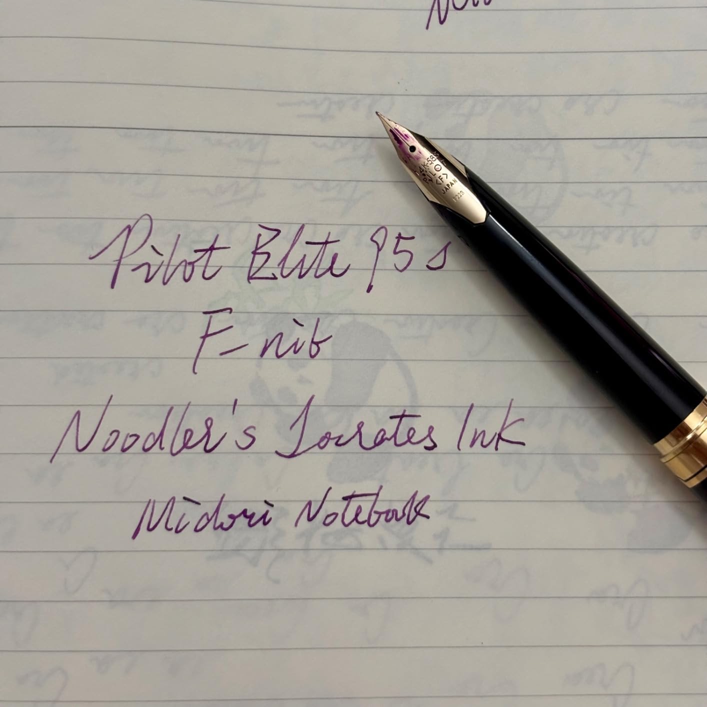 PILOT Elite 95s Fountain Pen, Black, Fine Nib customer photo 2