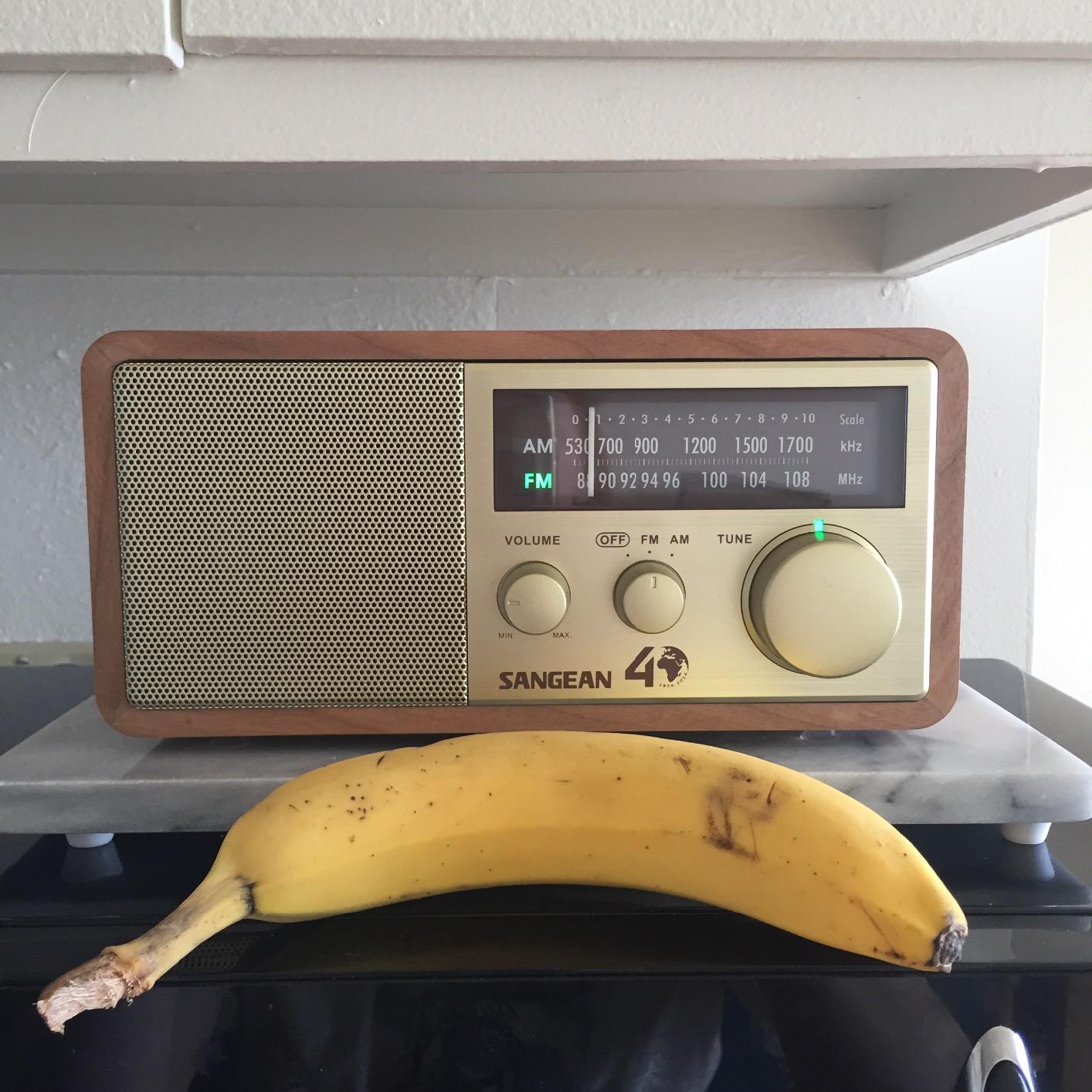 Sangean WR-11SE AM/FM Table Top Radio 40th Anniversary Edition Walnut customer photo 1