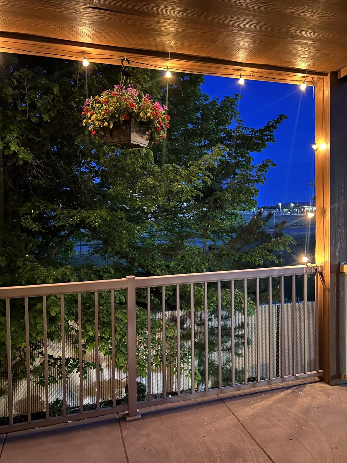 Brightown Outdoor String Lights, 29FT G40 LED IP65 Waterproof Patio Lights, 12 Shatterproof Edison Bulbs, Plug-In, Dimmable, Connectable, Hanging Light for Backyard Porch Party Decor, Warm White customer photo 2