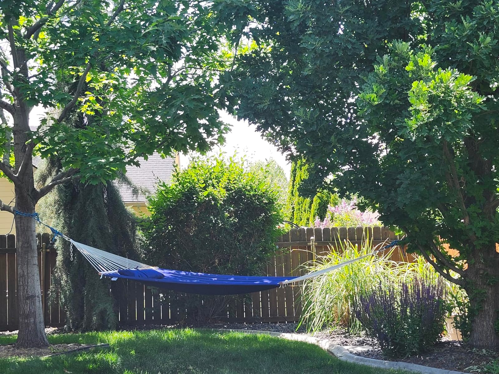 Lazy Daze 12FT Double Quilted Hammock with Spreader Bar for Outside Natural | 2 Person Heavy Duty Hammock with Detachable Pillow and Carabiners for Outdoor Backyard Poolside, 450lbs Weight Capacity customer photo 1