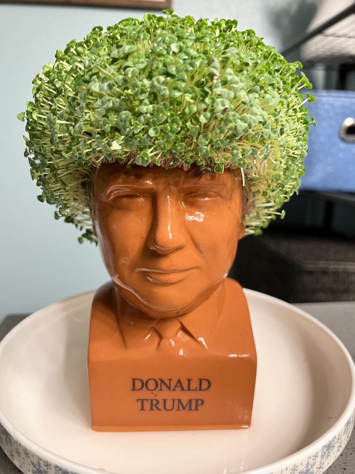 Chia Pet Donald Trump with Chia Seed Pack - Freedom of Choice - Decorative Presidential Pottery Planter, Easy to Do and Fun to Grow, Novelty Gift, Terra Cotta customer photo 1