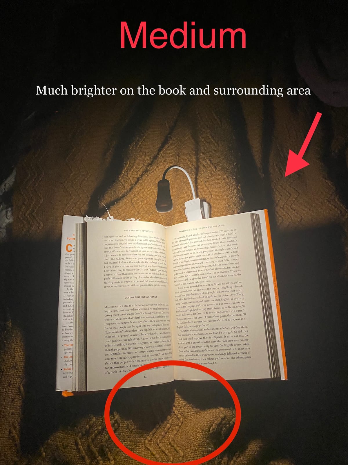 Vekkia 3000K Warm LED Rechargeable Book Light, Easy for Eyes, Clip on Reading Lights for Reading in Bed, Car & Travel, Lightweight Slim 2.1 oz. Perfect for Readers (Elegant White) customer photo 1