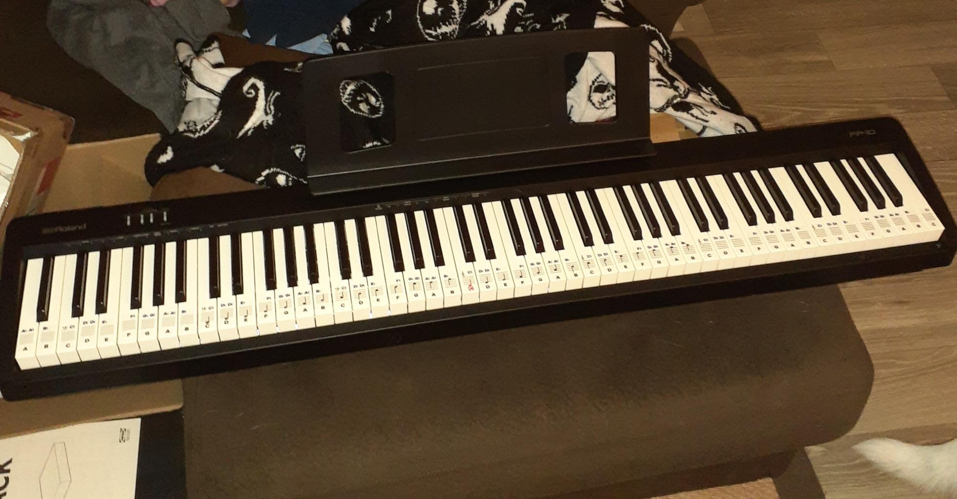 Roland FP-10 Compact 88-Note Digital Piano customer photo 2