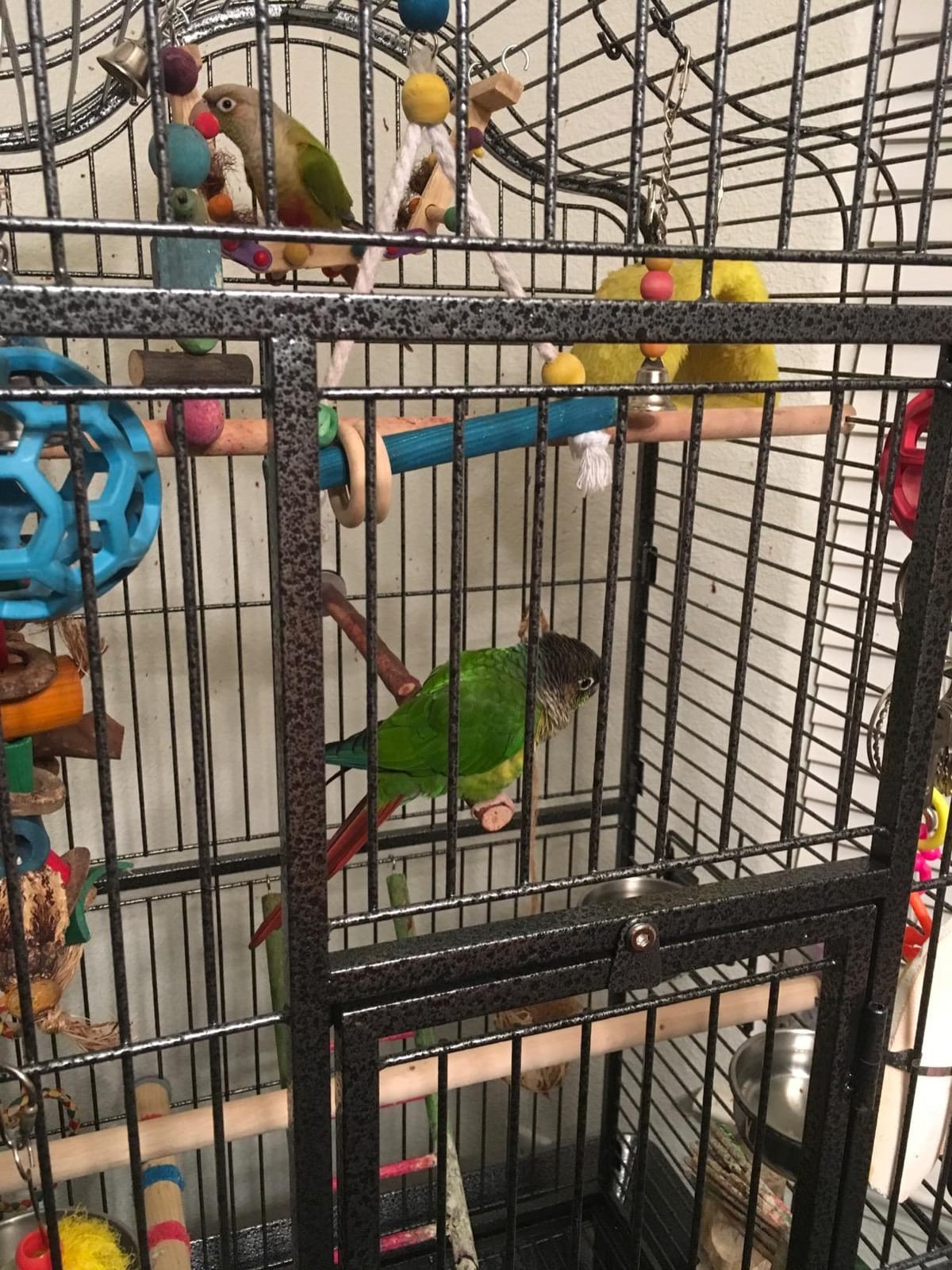 Yaheetech 63'' Bird Cage with Stand Wrought Iron Rolling Open Play Top Large Bird Cage for Mini Macaw African Grey Amazon Parrot customer photo 2