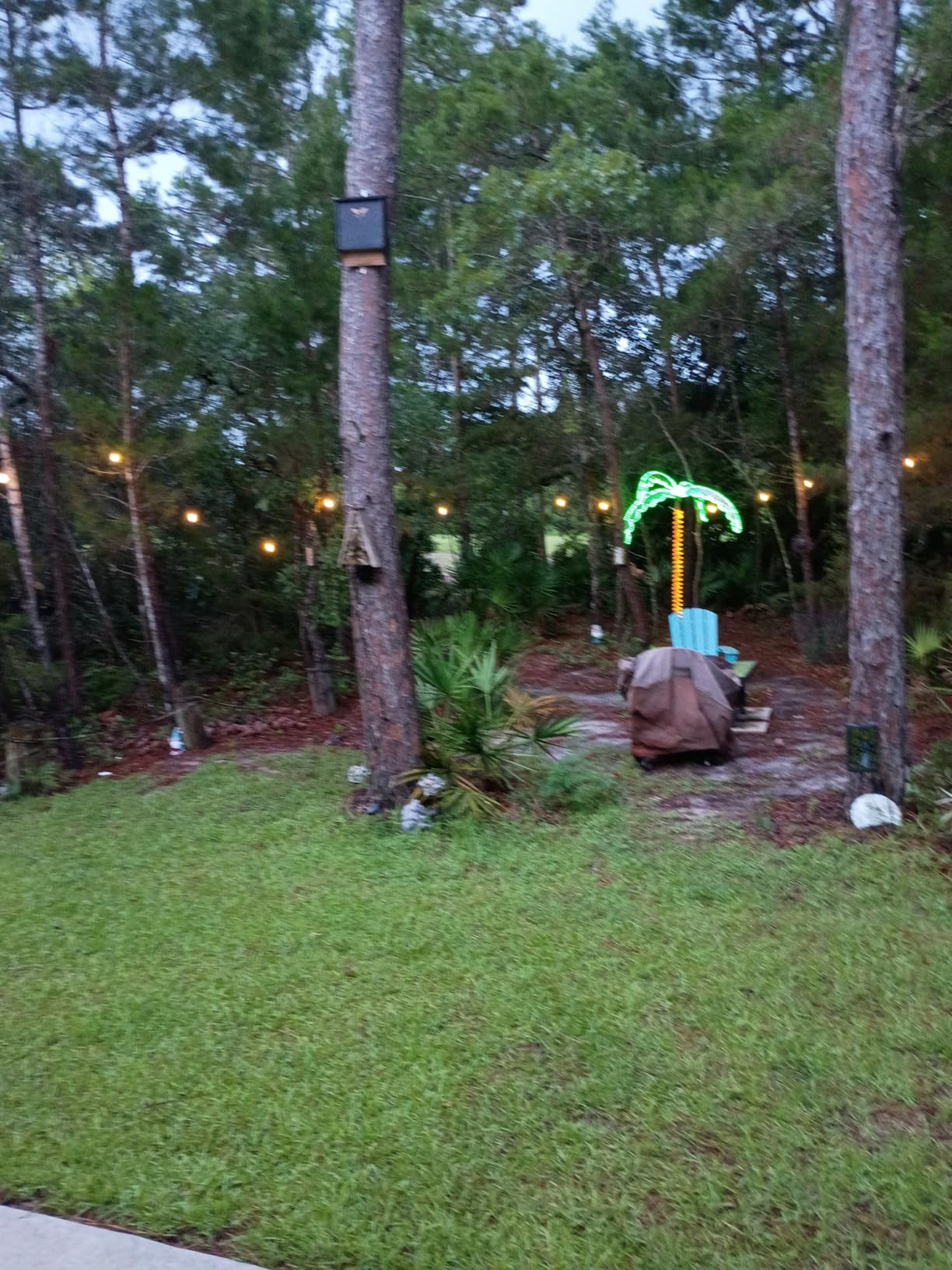 addlon LED Outdoor String Lights 48FT Edison Vintage Weatherproof ETL, Commercial Grade Strand with Shatterproof Bulbs, Decorative Hanging Lights for Patio Backyard Garden Cafe Bistro Deck customer photo 1