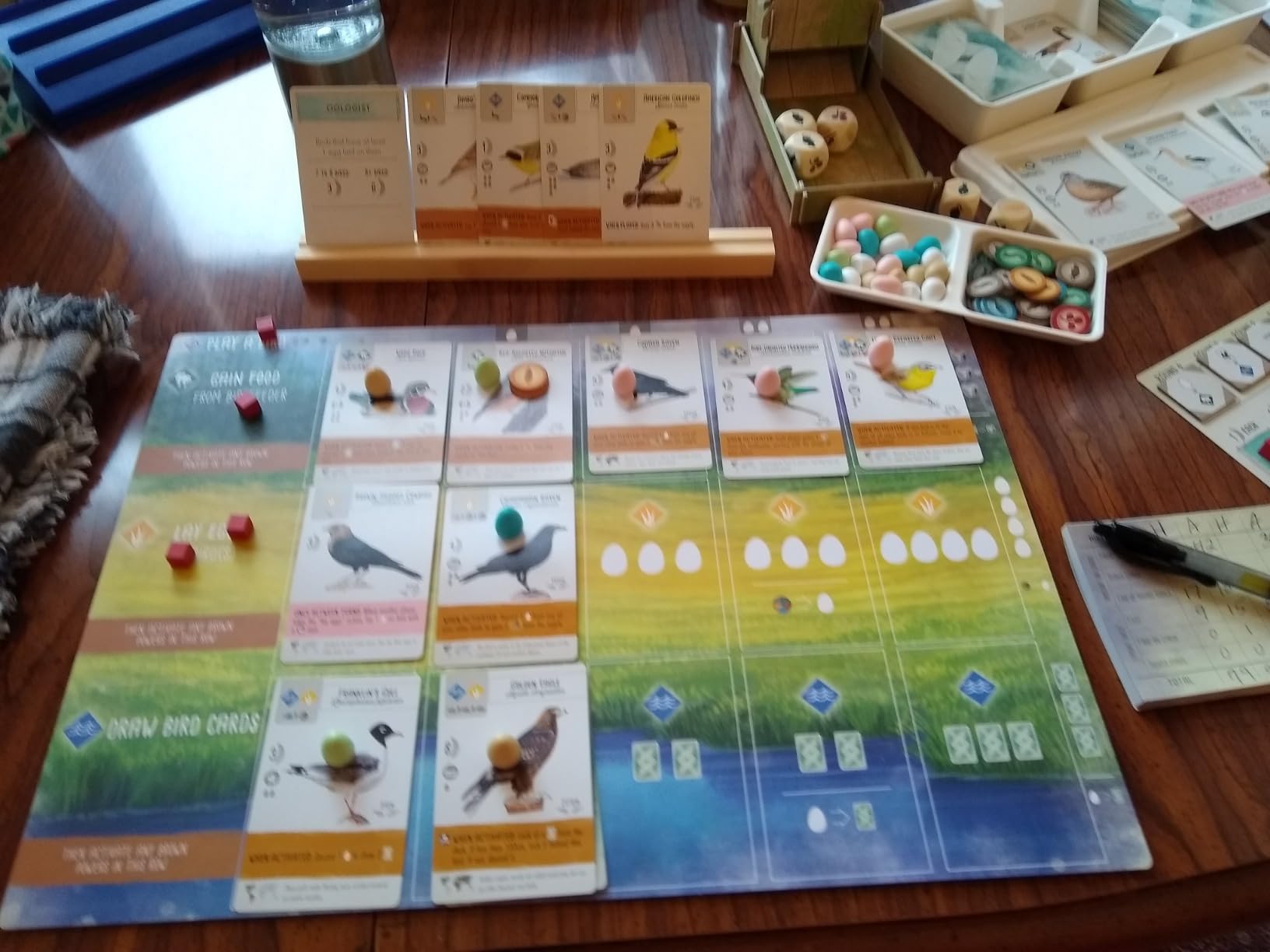 Stonemaier Games: Wingspan (Base Game) by Elizabeth Hargrave - Award-Winning Strategy Board Game About Collecting Birds for Adults and Family, 1-5 Players, 70 Mins customer photo 2