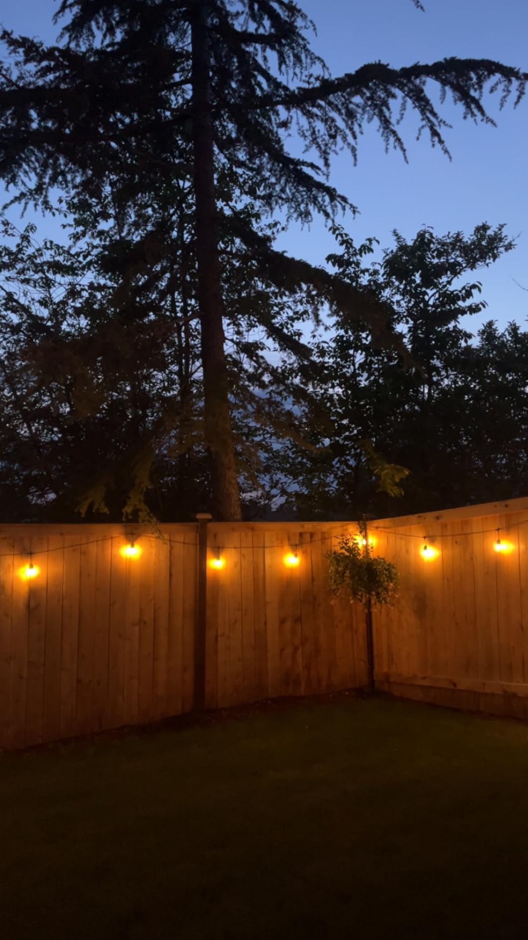 Svater Outdoor String Lights 105 FT Outside Waterproof Commercial Grade ETL, Patio Lighting with Shatterproof E26 S14 LED Dimmable Edison Bulbs, Hanging Strand for Bistro Cafe Backyard Warm White customer photo 1