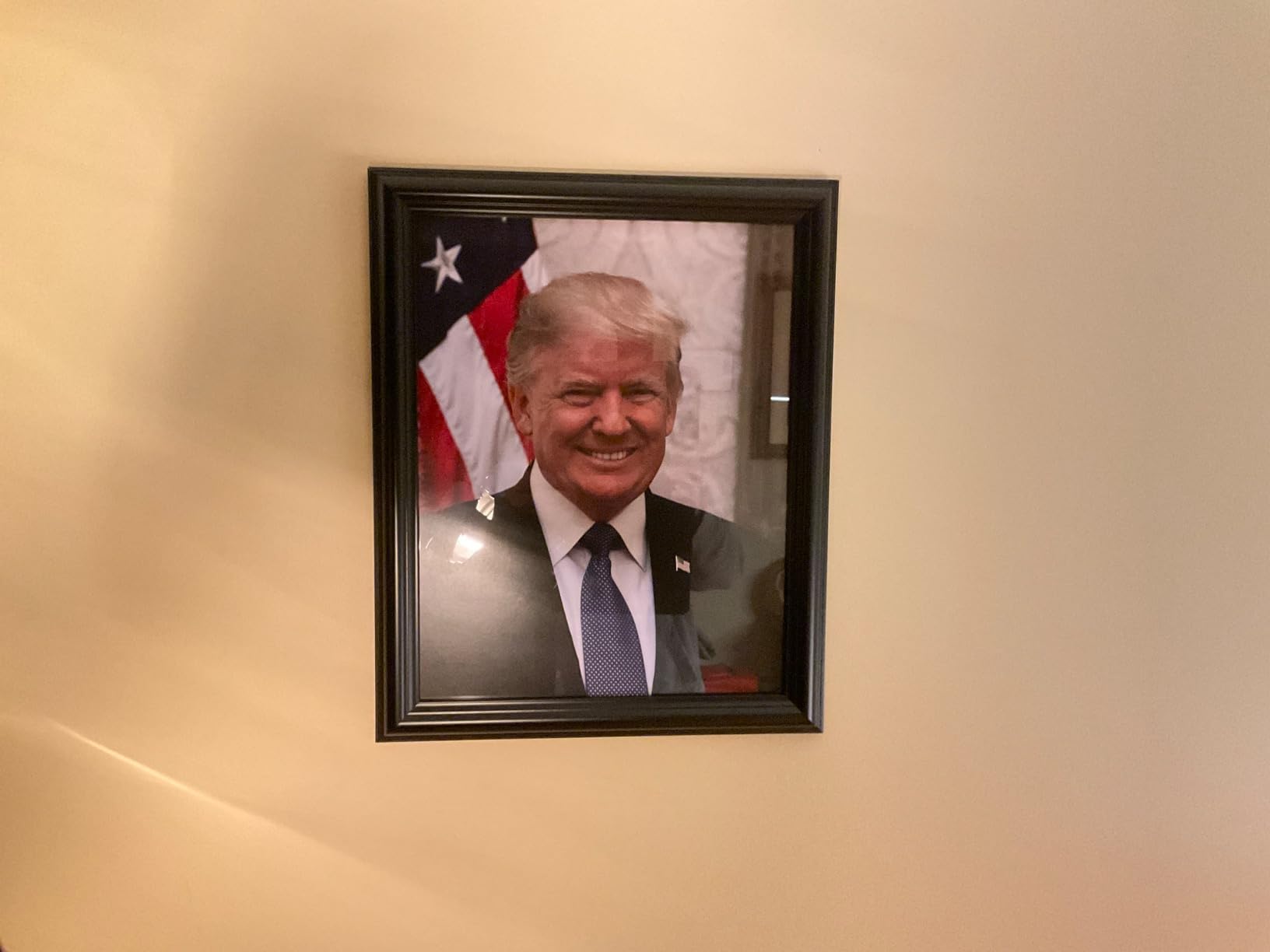 Donald Trump Portrait Framed, Patriotic Wall Art, Presidential Picture | Trump Gifts, Patriotic Decor, Trump Official Portrait, Presidential Portraits customer photo 1