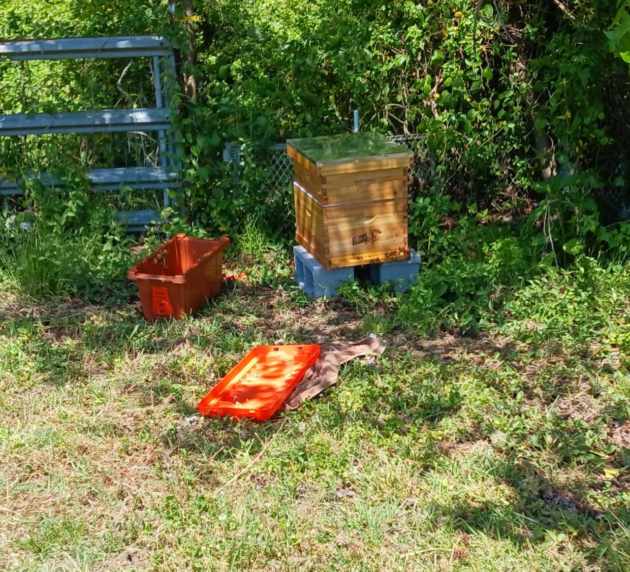 Beehive 10 Frame Bee Hives and Supplies Starter Kit, Bee Hive for Beginner, Honey Bee Hives Includes 1 Deep Brood Hive Box, 1 Bee Hive Super Box with Beehive Frames and Foundations customer photo 2