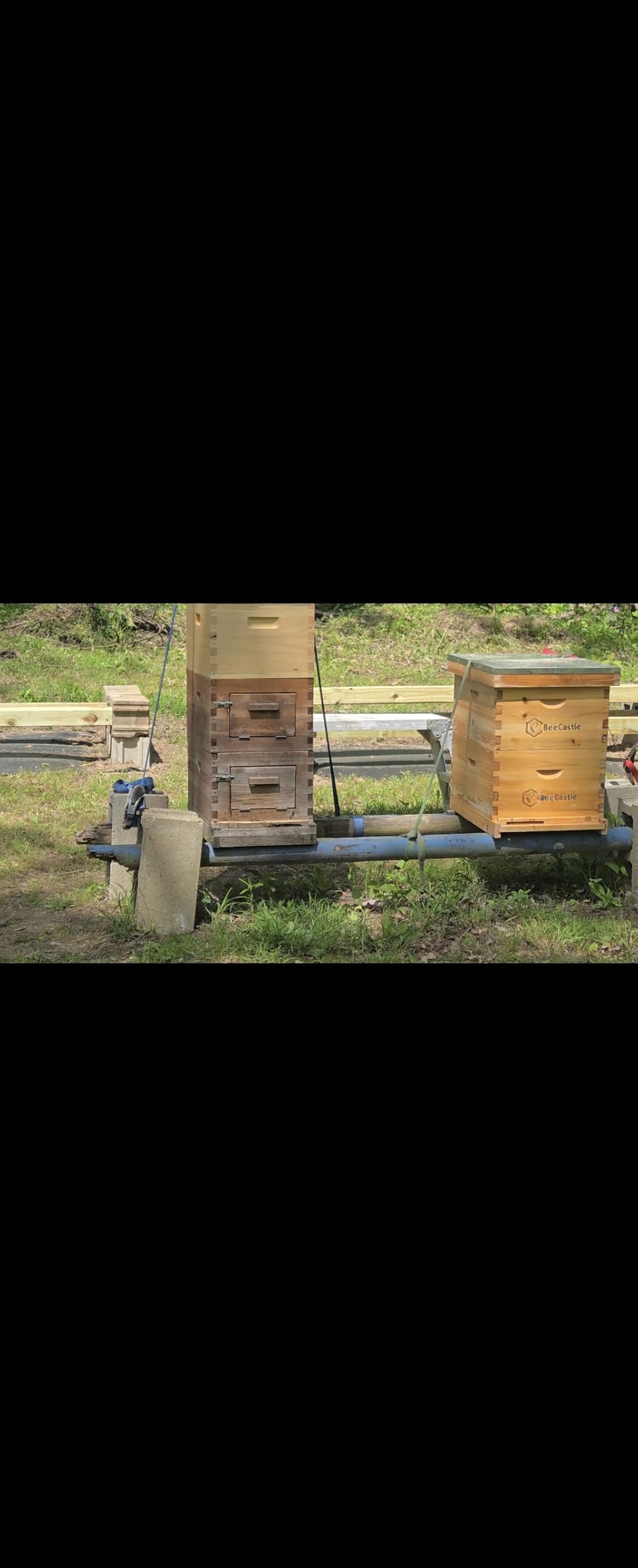 BeeCastle 10 Frame Langstroth Bee Hive Coated with Beeswax Includes Beehive Frames and Waxed Foundations (2 Deep Boxes & 1 Medium Box) customer photo 1