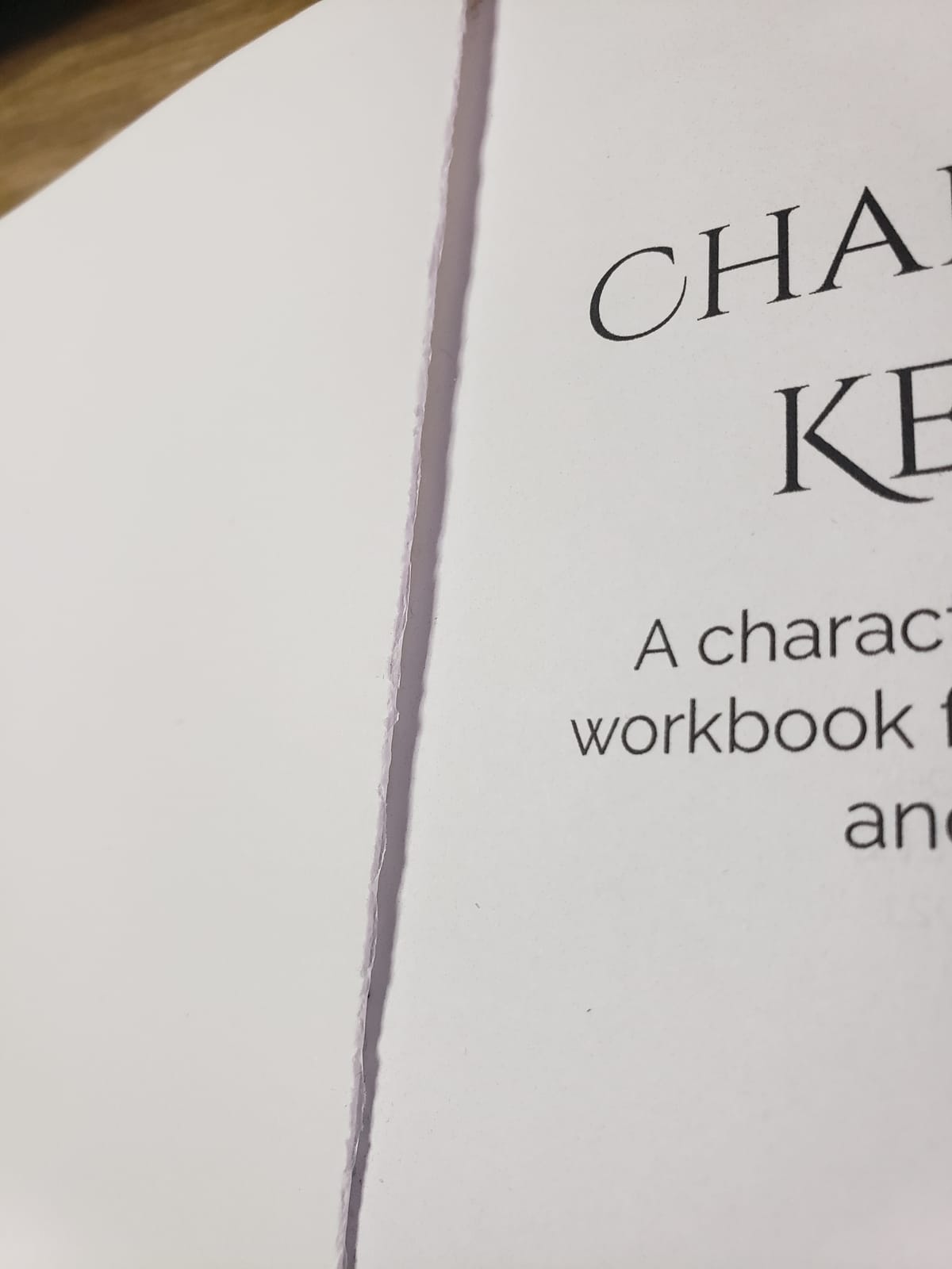 Character Keeper: A character development workbook for writers and creatives (Author Journal) - Black customer photo 2