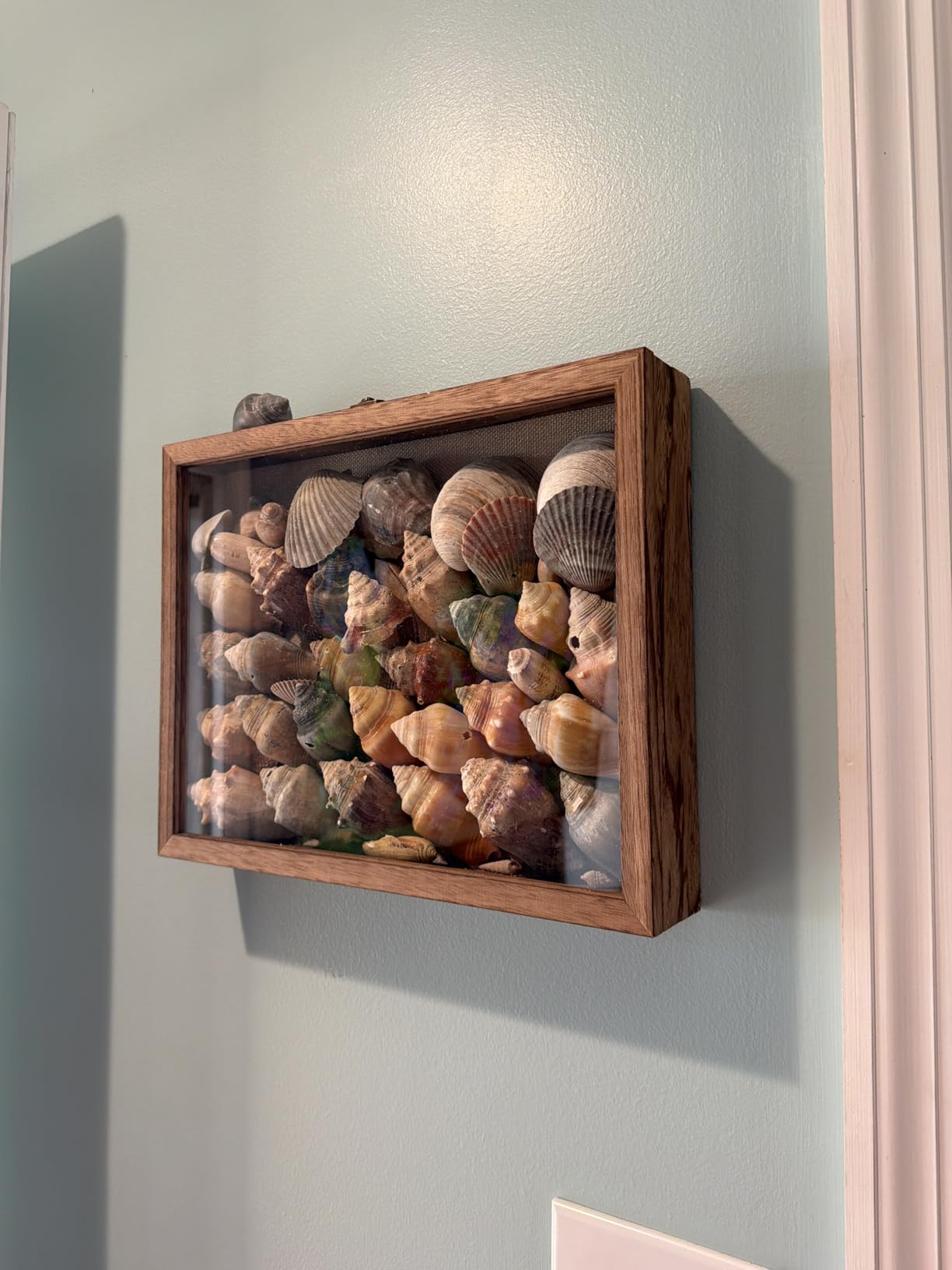 Large Shadow Box Frame 11x14 Display Case Black Graduation Keepsakes Box | Hinged Front Open Door with Tempered Glass, Linen Back with Pins for Pictures, Interior Depth 1.5 inches for Wedding Bouquet customer photo 2