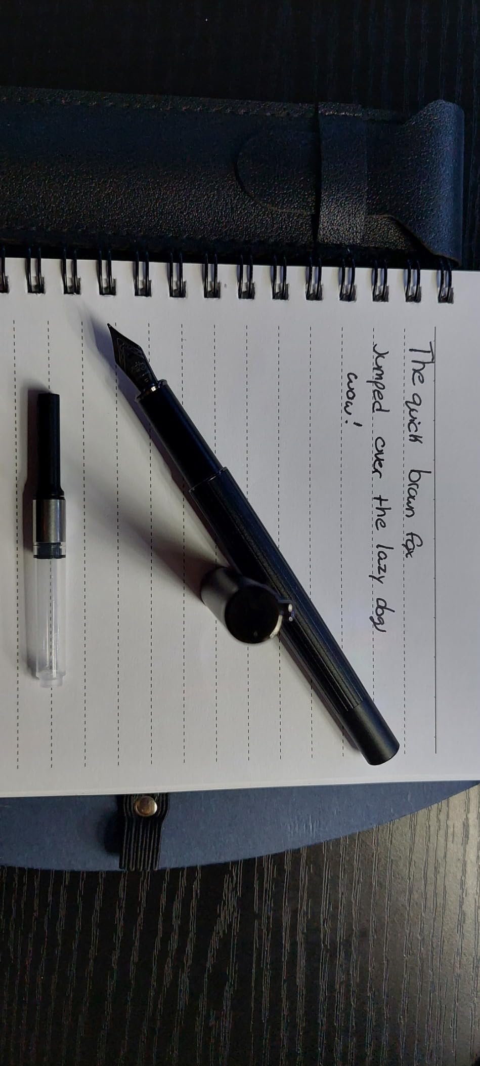 JINHAO Fountain Pen Fine Nib, Includes Ink Cartridges & Converter, Perfect Weight, Optimal Flow, No Skips customer photo 1