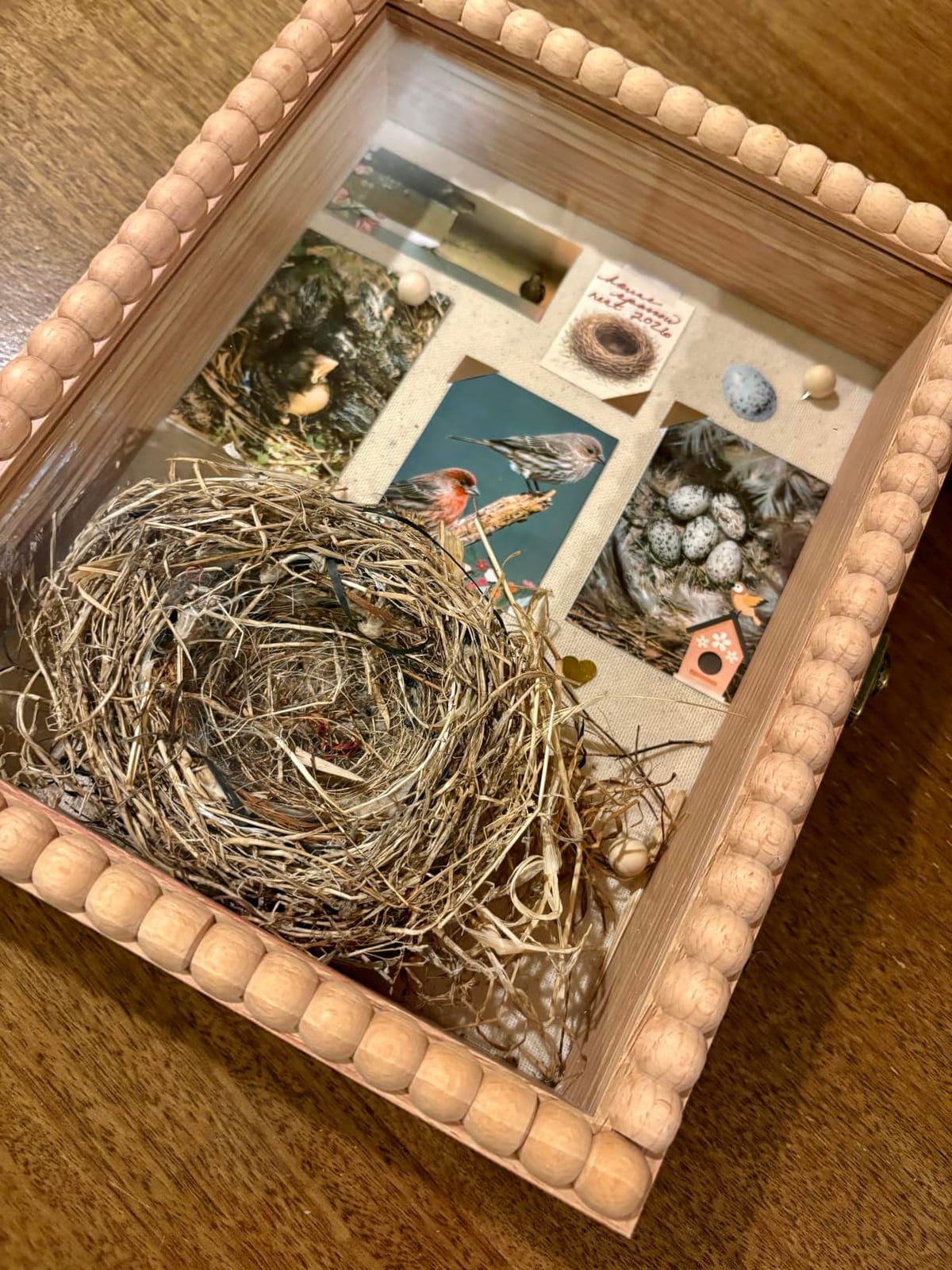 Love-KANKEI Deep Shadow Box Frame 11x14, Unique Solid Wood Beads Frame, White | Front-Opening Glass Door, Metal Latch-Lock, Assembly-Free, Tabletop & Wall-Mount, Memory Box, Gift, Display Photos, Awards, Medals customer photo 1