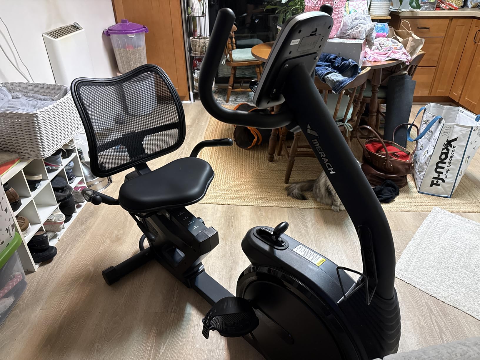 MERACH Recumbent Exercise Bikes for Home High-end | Recumbent Bike for Seniors Adults, Magnetic Recumbent Stationary Bike with Exclusive App, Heart Rate Handle, Adjustable Seat customer photo 1