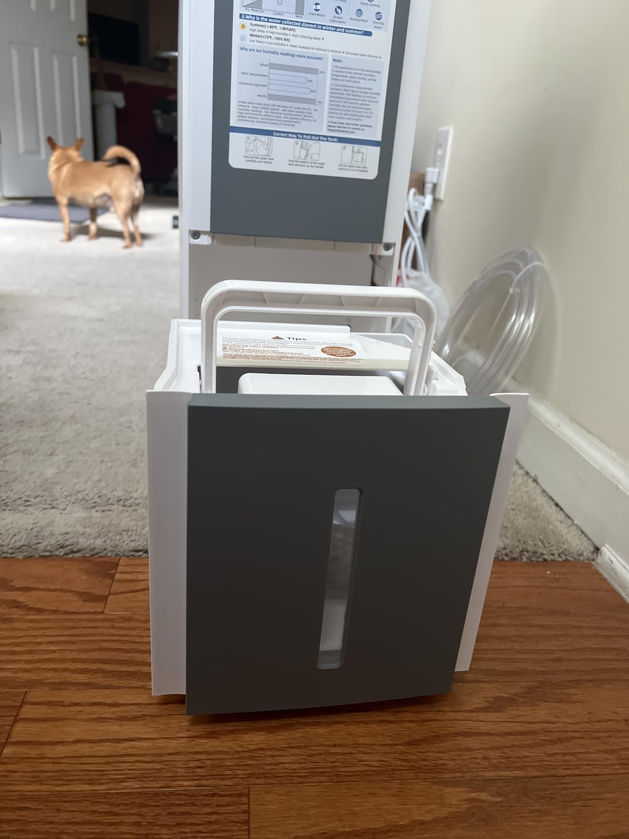 AEOCKY 5500 Sq.Ft Energy Star Most Efficient 2025 Dehumidifier Max 80Pint/D with Drain Hose for Basement, Home, Bedroom, Bathroom, Intelligent Humidistat customer photo 2