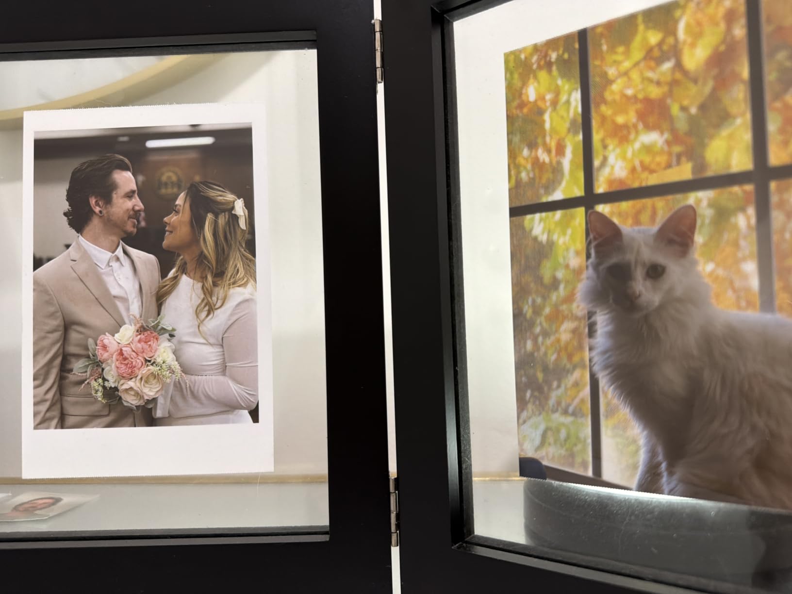 YOTON Photo Printer 4x6, Picture Printer with 54 Sheets & 1 Ink Ribbon | 4PASS Dye-Sublimation; AR Video Printing; Wi-Fi Photo Printing; Gift for Travel & Memories; for iPhone/Android/PC; Green customer photo 1