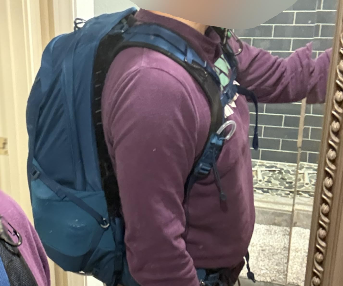 Osprey Talon 22L Men's Lightweight Hiking Backpack - Small Daypack for Travel & Camping, Phantom Grey/Dark Charcoal customer photo 2