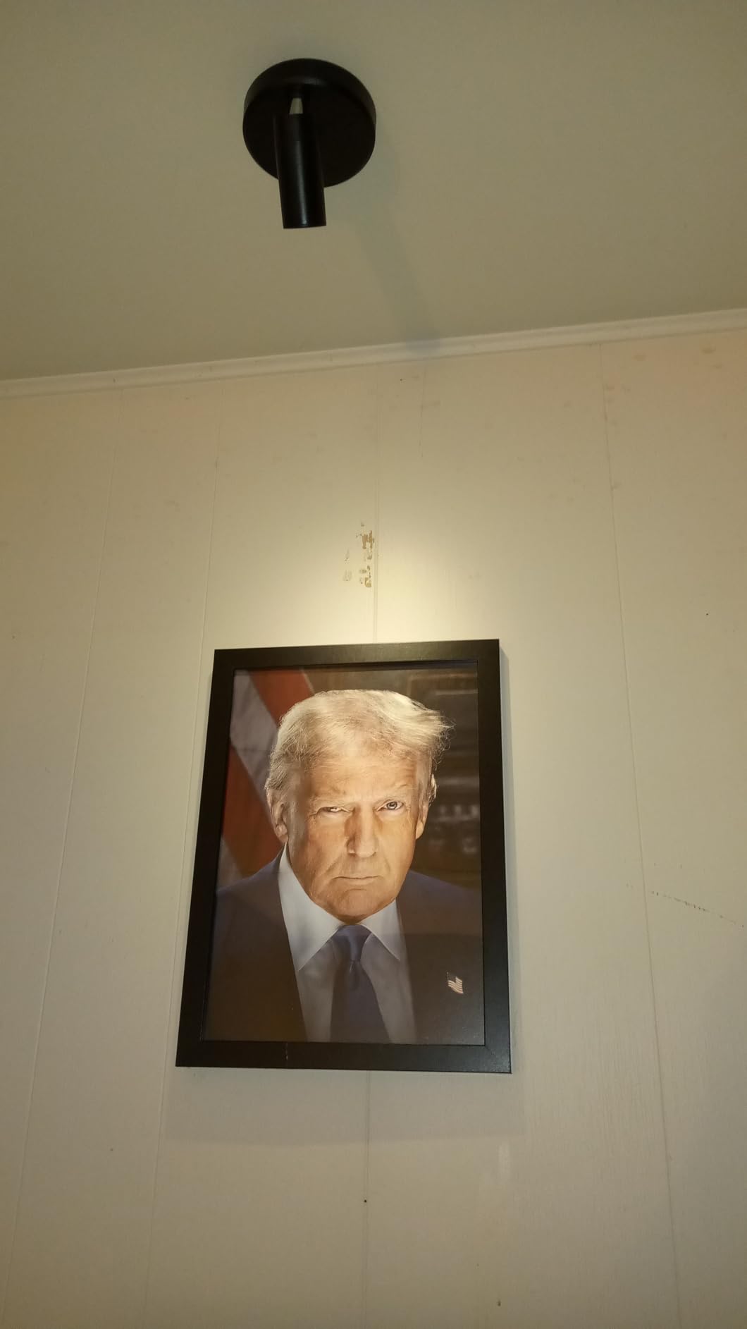Artery8 United States 47th President Donald Trump Portrait Man Cave Artwork Framed Wall Art Print A4 customer photo 1