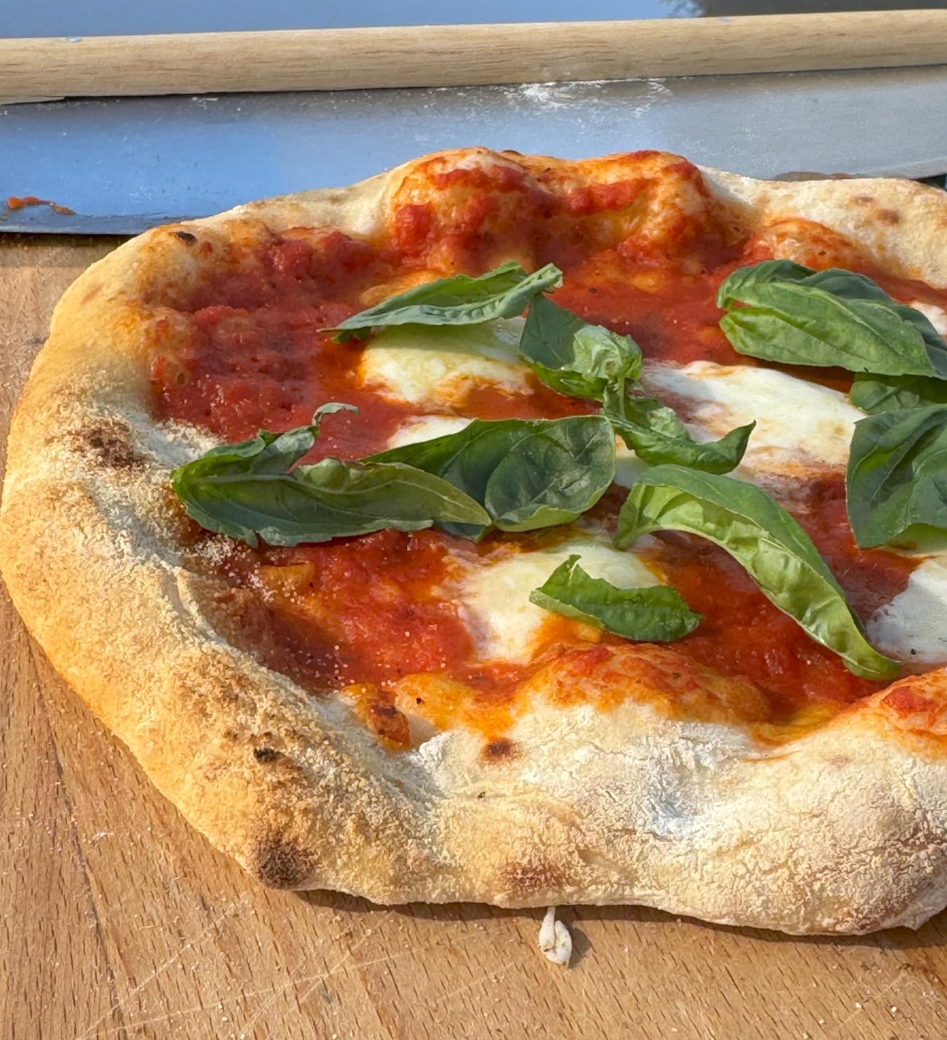 Ninja Artisan Pizza Oven, 12-in Pizza in 3-Min, 700F, 5-in-1, Gray, MO201 | Ninja Artisan Electric Pizza Oven bakes 5 pizza styles and air fries, all in one outdoor appliance customer photo 2