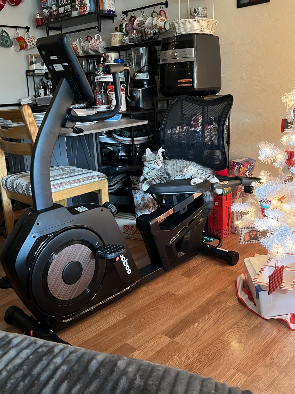 pooboo Recumbent Exercise Bike, Stationary Bikes for Home with Arm Exerciser, Magnetic Recumbent Bike with Ergonomic Backrest & Comfortable Seat, Smart APP, Pulse Sensor, 400LBS Weight Capacity customer photo 2