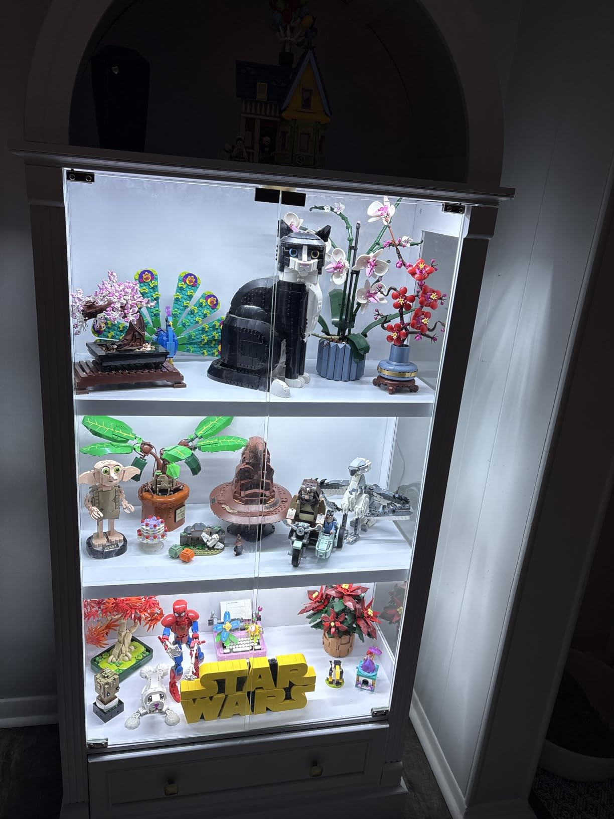 Dystler Curio Cabinet with Glass Doors & LED Lights | 72
