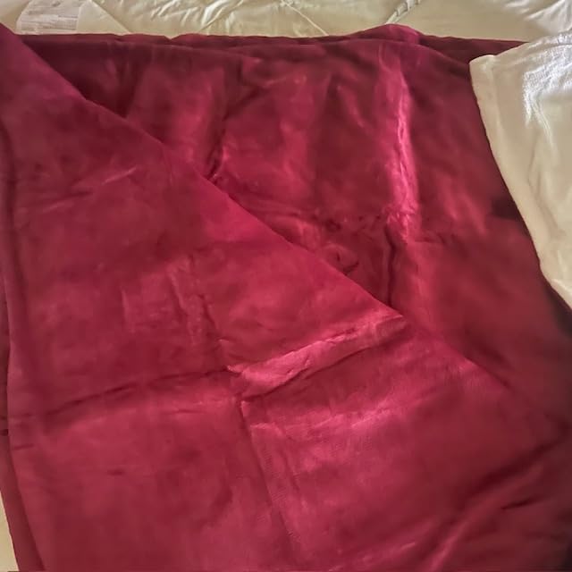 Heated Blanket Electric Throw, 50