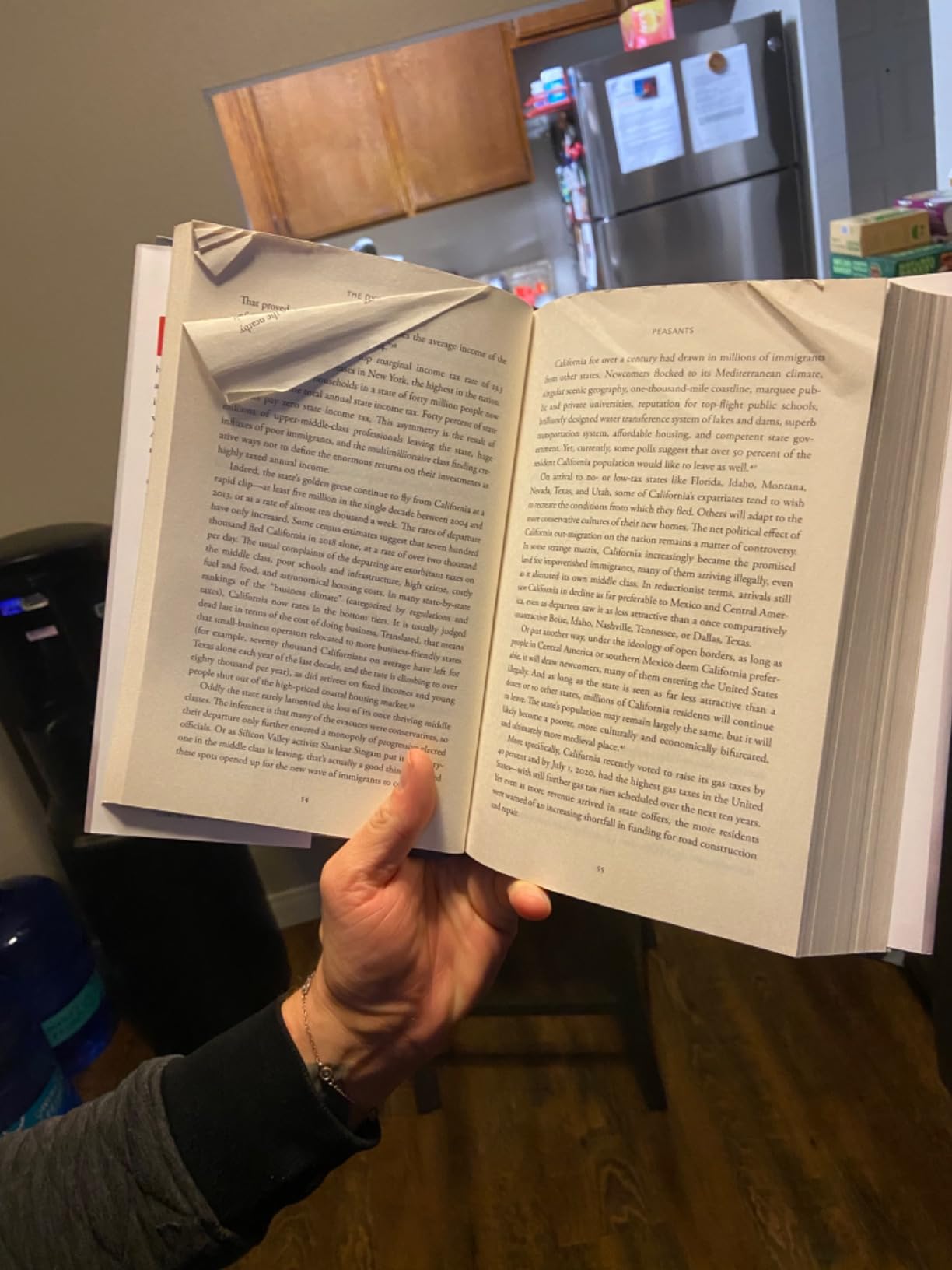 The Dying Citizen: How Progressive Elites, Tribalism, and Globalization Are Destroying the Idea of America customer photo 2