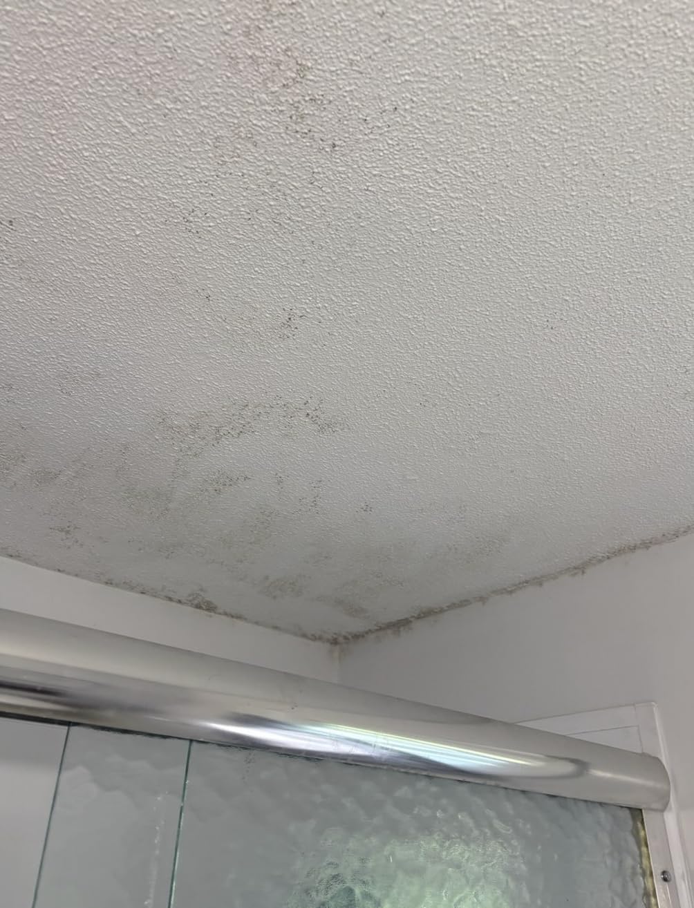 Zinsser 02774 PERMA-WHITE Mold & Mildew Proof Interior Paint, Quart, Eggshell White customer photo 2