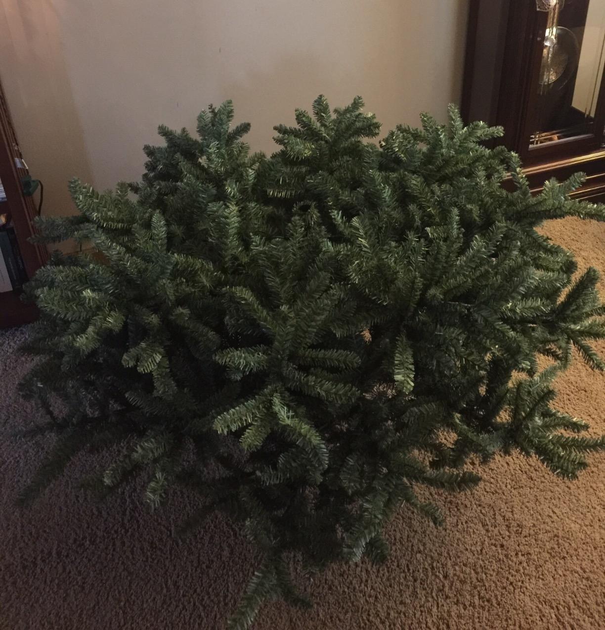 Balsam Hill 7.5 ft Unlit Classic Blue Spruce - Artificial Christmas Tree with 2,960+ Tips, Premium Stand & Easy Assembly for Indoor Holiday Decorating customer photo 1