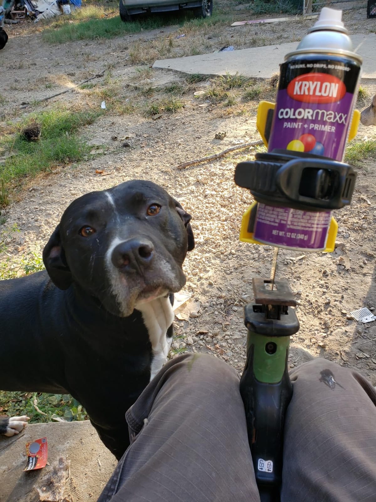 Professional Spray Paint Can Shaker & Mixer, Reciprocating Saw Attachment Fits All Aerosol Sizes, USA Made customer photo 1