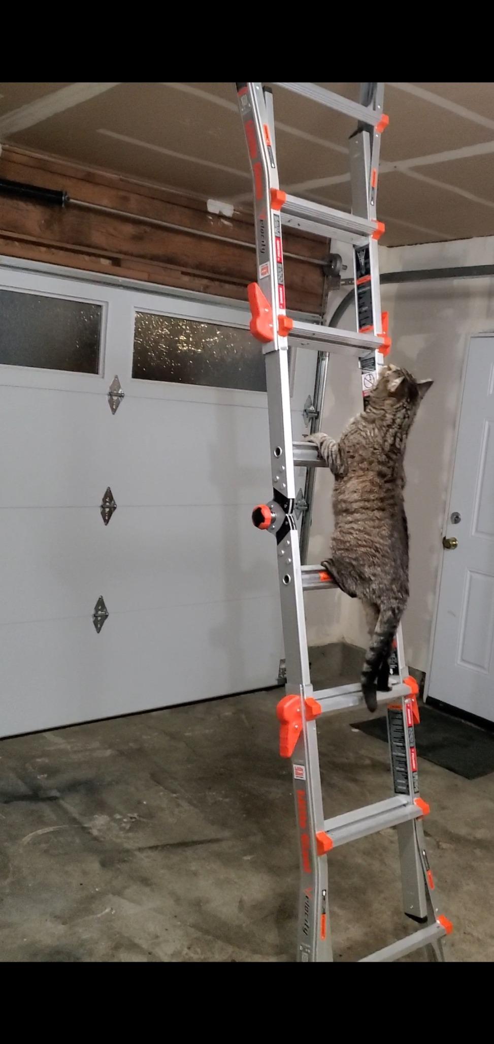 Little Giant Velocity, Aluminum Ladder, 18 ft Reach, 15417-001 | Telescoping Multi-Position Ladder with Extension, A-Frame, 90-Degree & Trestle Modes, Tip & Glide Wheels, 300 lbs. Rating customer photo 2