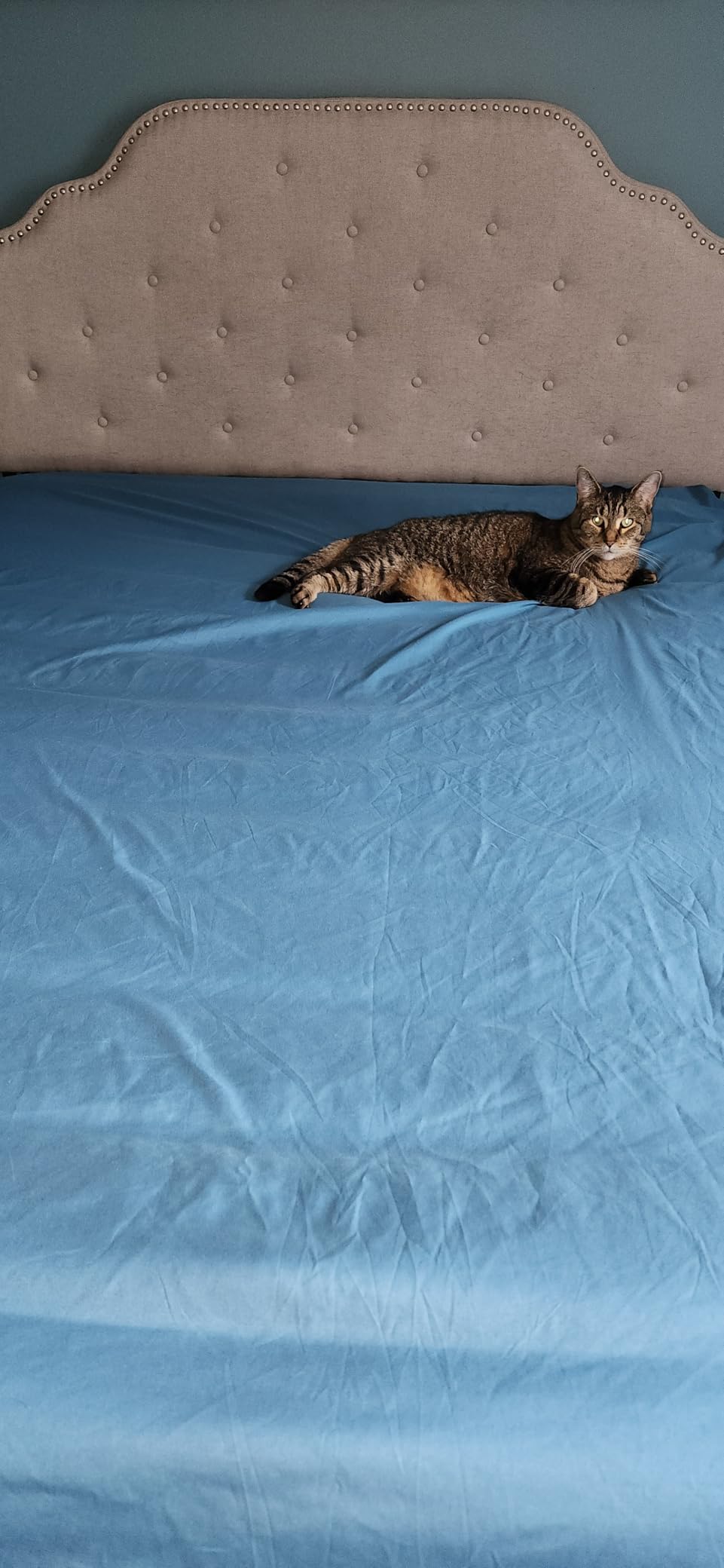 Queen Sheets Set, 4 Pieces 16