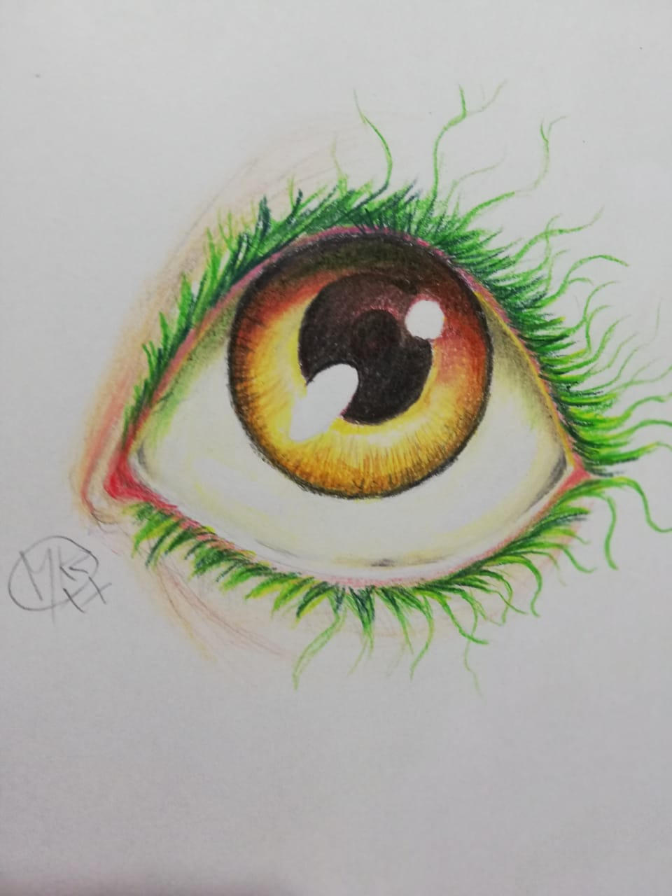 Caran D'ache Luminance Colored Pencil Set of 40 (6901.740) customer photo 1