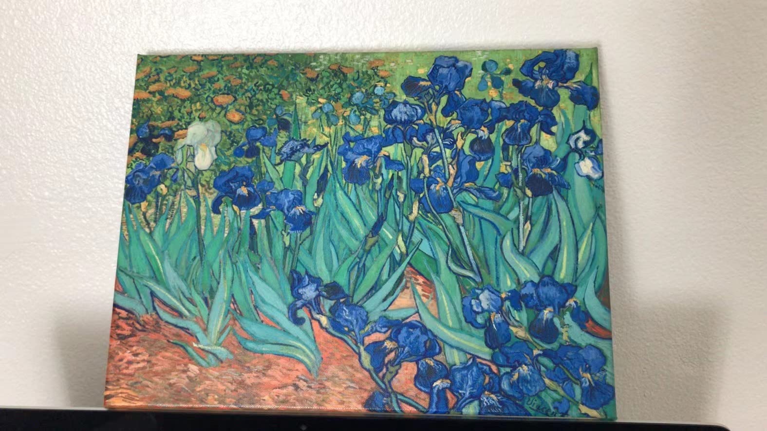 Wieco Art Irises Modern Stretched and Framed Floral Giclee Canvas Print By Van Gogh Famous Flowers Oil Paintings Reproduction Artwork Pictures on Canvas Wall Art for Bedroom Home Decorations customer photo 2