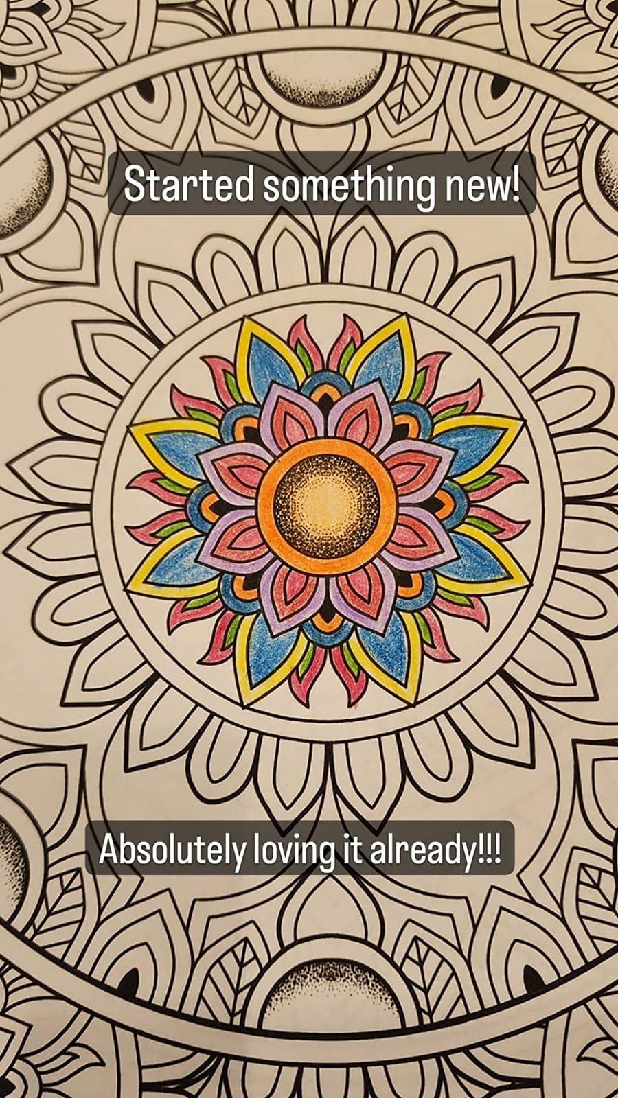 Crayola Colored Pencils For Adults (50ct), Colored Pencil Set for Adult Coloring Books, Coloring Set, Gift for Teens & Adults [Amazon Exclusive] customer photo 1