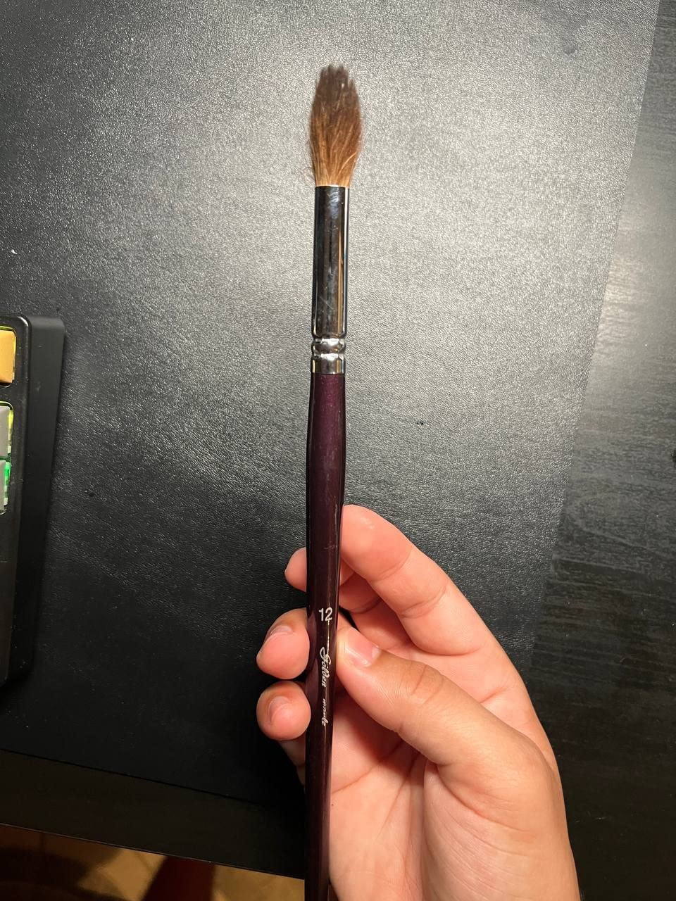 Golden Maple Professional Watercolor Brushes Set - 6PC Natural Hair Horsehair Round Point Artist Paint Brushes for Adults Watercolor Acrylic Ink Gouache Painting Supplies customer photo 2