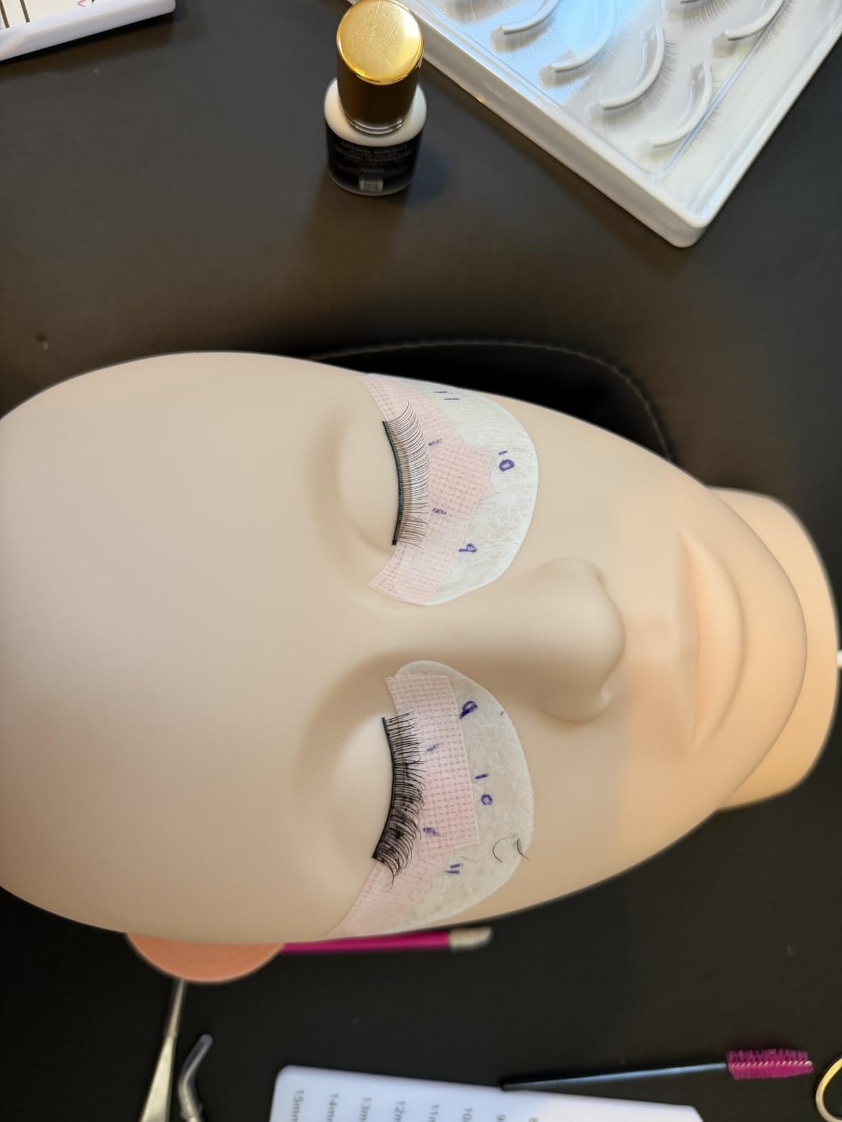 Hoka Lash Eyelash Extension Kit & Training Course and Certification, Professional Lash Extension Kit for Beginners Includes Practice Mannequin Head, Lash Trays, Glue, Tweezers, Fan & More customer photo 1