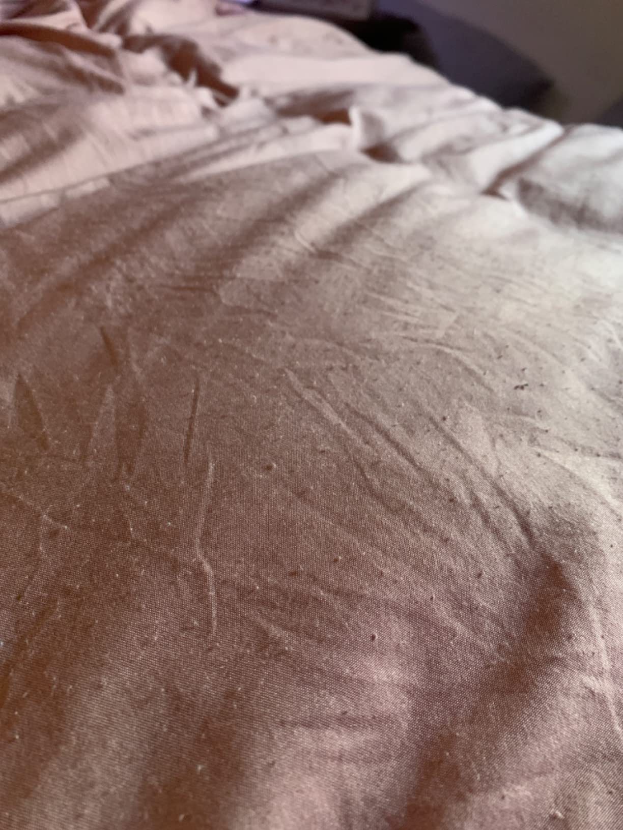 Bare Home Washed Duvet Cover Set (King/Cal King, Bering Sea) customer photo 1