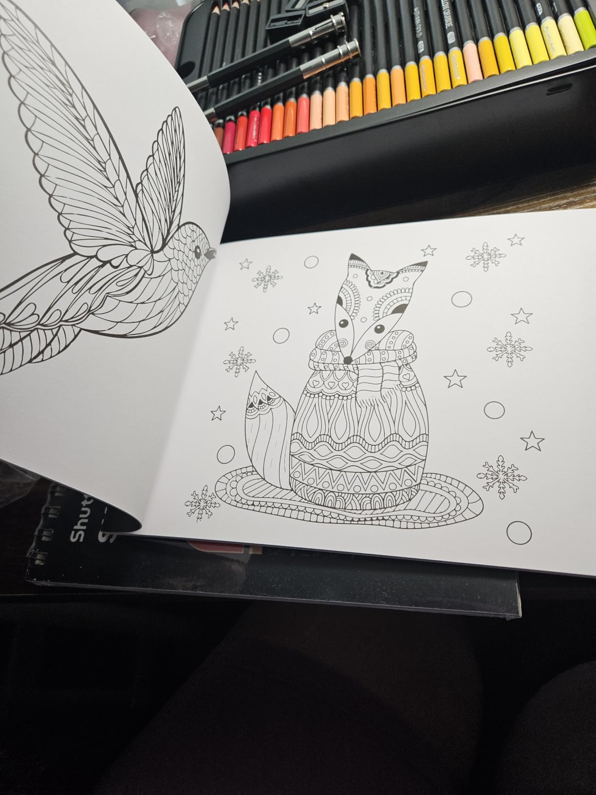 Shuttle Art 180 Coloring Pencils for Adults, Soft Core Coloring Pencils Set with 4 Sharpeners, Professional Color Pencils for Artists Kids Adults Sketching and Drawing customer photo 1