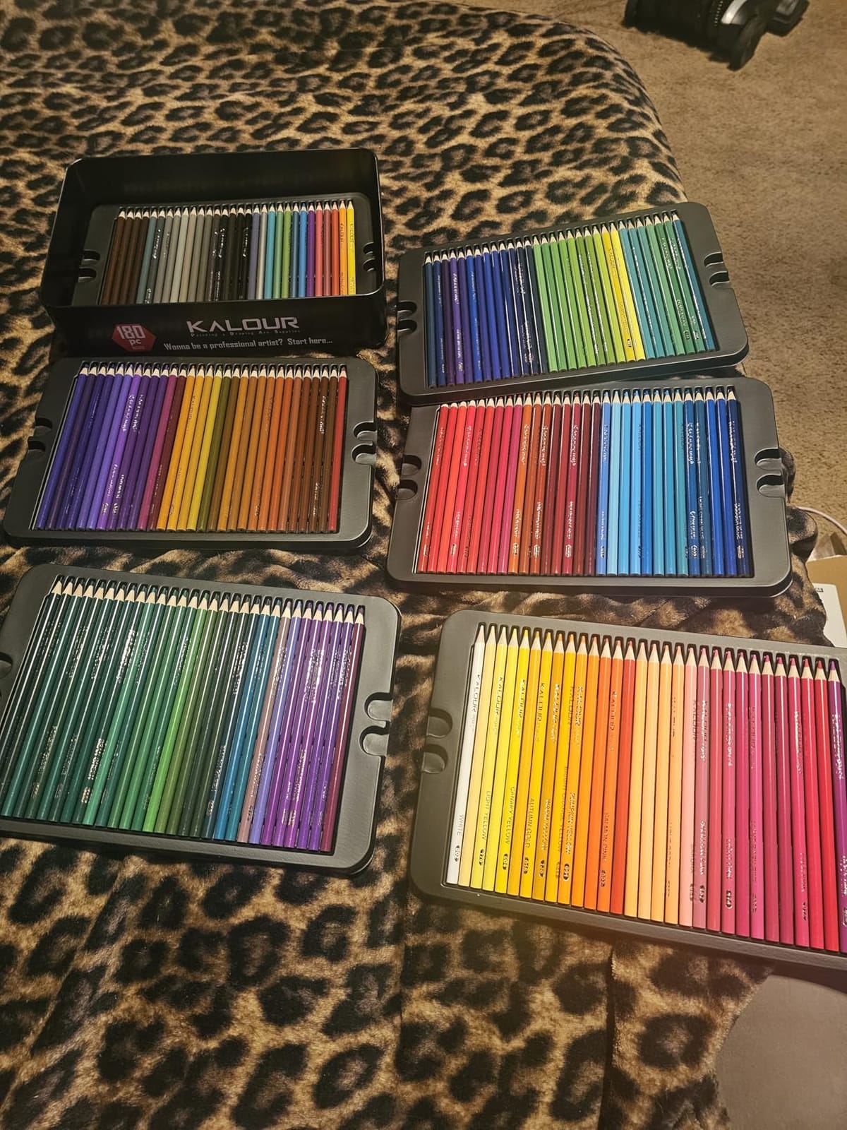 KALOUR 180 Colored Pencil Set for Adults Artists - Rich Pigment Soft Core -12 Metallic Pencil - Ideal for Coloring Drawing Sketching Shading Blending - Vibrant Color（Tin Case） customer photo 1
