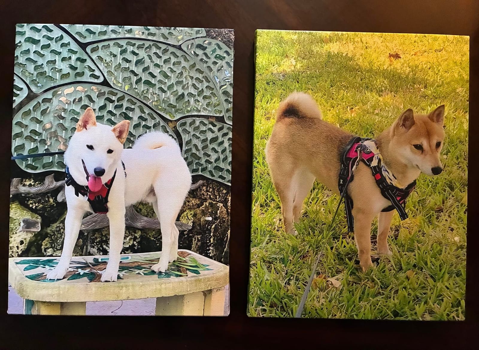 Personalized Photo to Canvas Print - Canvas Prints With Your Photos on Custom Wall Art for Bedroom, Living Room, Wedding Baby Pet Family Picture Framed Wall Art (6