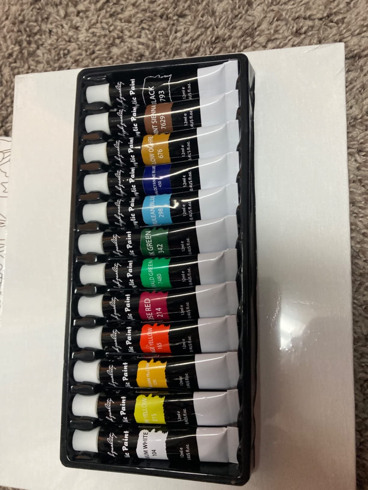 koseibal Acrylic Paint Set for Kids & Adults, Art Supplies Kit with Canvas customer photo 1