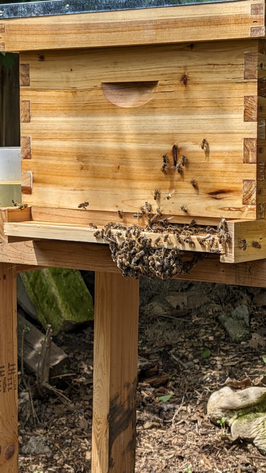 Honey Lake 10 Frame Bee Hives Boxes Starter Kit and Bee Keeping Supplies-All Beginners Kit, Bee Hive Kit with Beekeeping Tool Kit Includes Bee Smoker Beekeeper Veil Hat customer photo 1