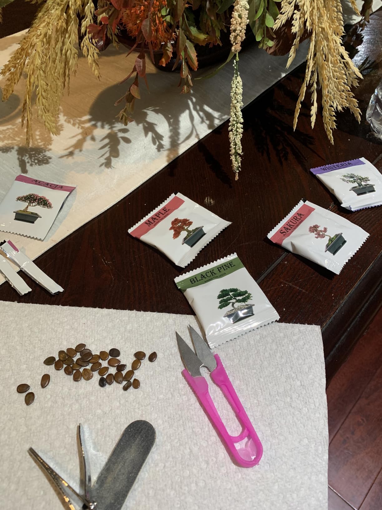 Meekear Indoor Starter Kit with Complete Planting Tools, Gardening DIY Gift for Plant Lovers customer photo 2