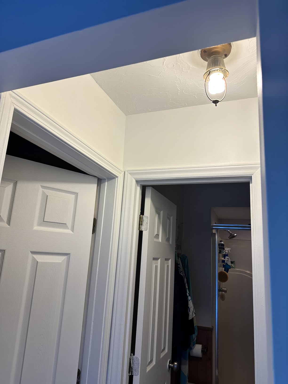 EVOLVE Ultimate White Paint & Primer in One, Eggshell White, 1 Gallon – Interior & Exterior, One-Coat Coverage, Excellent Hide, Low Odor, Low VOC, Washable Paint for Walls, Ceilings & Trim customer photo 2
