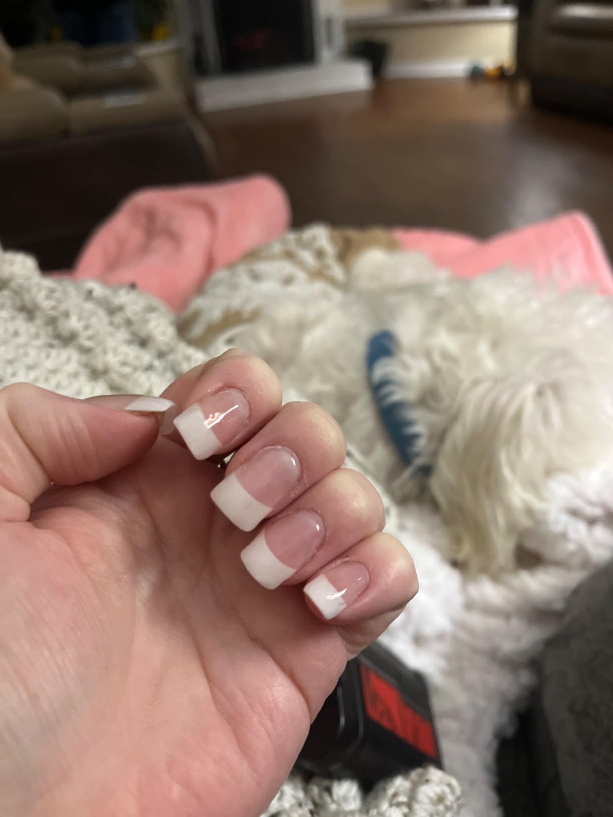 SAVILAND Acrylic Nail Kit with Drill for Beginners, White Pink Clear customer photo 1